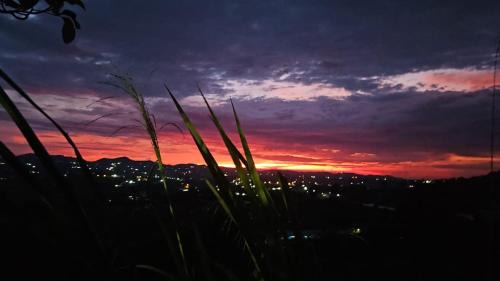 Rionegro Apartment | Pet-Friendly Getaway at Finca el Oserno with Pool Access