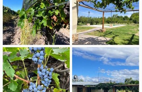 San Rafael House | Experience Finca El Vencedor: Pet-Friendly with a Pool