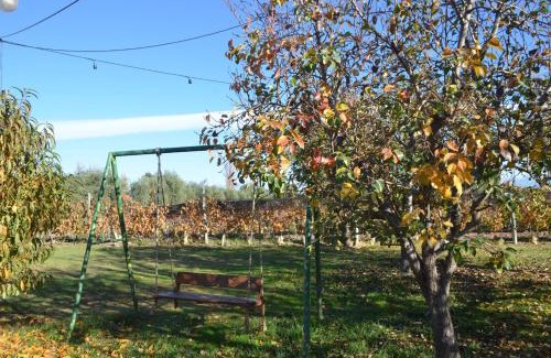 Maipu Apartment | Experience Finca Fisterra: 4-Star Retreat with Pool & Hot Tub