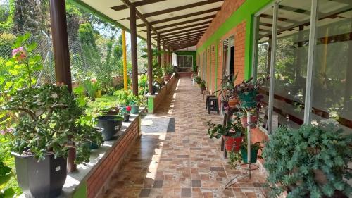 Filandia House | Relax at Finca Hotel el Vergel: Pet Friendly Retreat