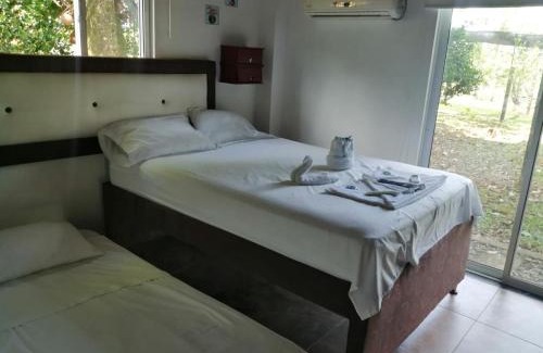Restrepo Resort | Relax at Finca Hotel Mesopotamia: Pool, Hot Tub & Breakfast