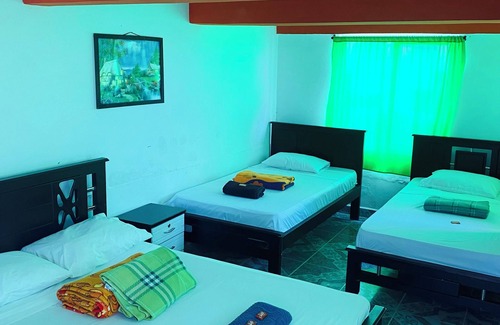 Filandia Hotel | Eco-Friendly Escape at Finca Hotel Paisaje Cafetero