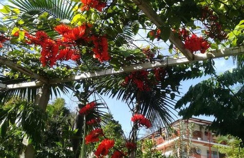 La Vega Cabin | Pet-Friendly Finca Jardín del Agua with Breakfast Included