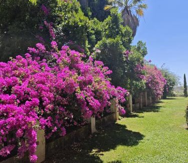 Constantina House | Oceanfront Bliss at Finca La Favorita: Rated 9.6/10