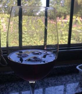 Ugarteche House | Discover Family-Friendly Relaxation at Finca, La Joya