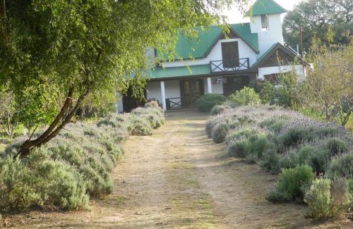 San Javier Department House | Pet-Friendly Finca La Julia: Oceanfront Bliss Awaits