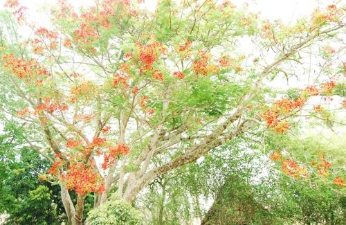 Santa Fe de Antioquia House | Experience Finca la Querendona: Pet Friendly & Oceanfront