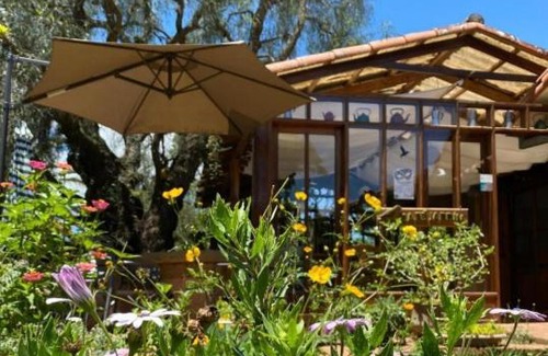 Samaipata Cabin | Pet-Friendly Retreat at Finca La Vispera - Rated 9/10!