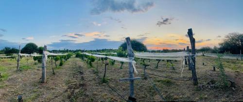 Ischilin House | Finca Las Corzuelas