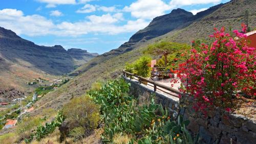 Los Palmitos House | Discover Finca Las Olivas: Heated Pool & Oceanfront Views