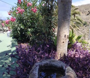 Hermigua Ski Chalet | Discover Finca Lomo Grande: Pet & Child Friendly Retreat