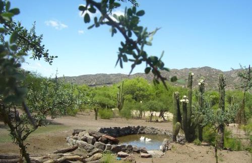 San Agustin de Valle Fertil House | Family-Friendly Finca Puesta del Sol with Pool Access