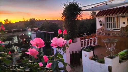 Gibraleon Apartment | Discover Finca Riodiel: Pet-Friendly Retreat with Pool