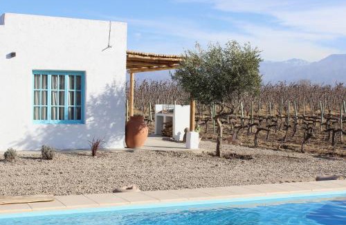 Vista Flores Cabin | Finca Rosablanca: Guest Rated 10/10 - Pet Friendly Escape