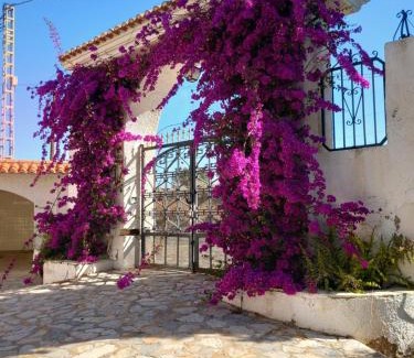 Elda Villa | Finca roxana