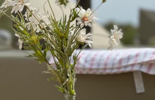 Ses Salines House | Pet-Friendly Escape at Finca Rural Art 9 with Pool & Hot Tub