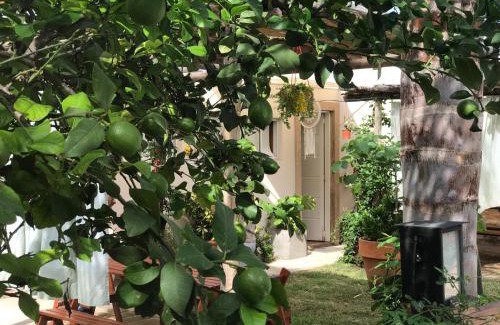 Alta Gracia Apartment | Guest Rated 9.2: FINCA URBANA with Pool & Family Fun