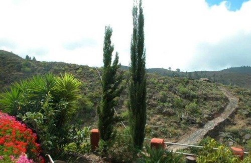 Guia de Isora House | Relaxing Finca Getaway with Pool and Ocean Views