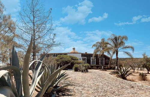 Huimilpan House | Finca Zerhua