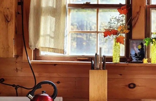Walden Cabin | Unplug in an Authentic Mountain Cabin with Scenic Views