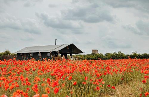 Little Walsingham Ski Chalet | Discover Foxley Lodge: A Perfect Retreat for Families