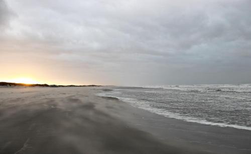 Municipality of Terschelling Apartment | Oceanfront Retreat at Finistère - Rated 9/10 by Guests