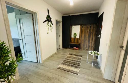 Tirgu Mures Apartment | Child-Friendly FinnApartman 2 - Guest Rated: 9.8/10