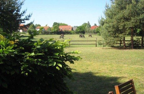 Steffenshagen House | Cozy Finnhütte Wittenbecker Tannen for Memorable Stays