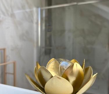 Millefonti Apartment | Fior di Loto Suite - Lingotto: Pet-Friendly Retreat