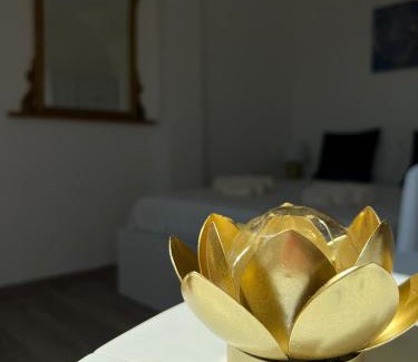 Millefonti Apartment | Fior di Loto Suite - Lingotto: Pet-Friendly Retreat