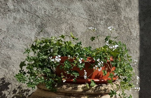 Capodimonte Apartment | "Fiordaliso" apartment, a few steps from the lake