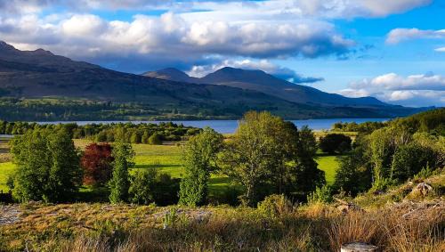Hogwarts House | Pet-Friendly Retreats at Firbush Lochside Lodges
