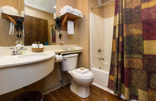 Onalaska Hotel | Cozy Theme Suite with Fireplace at Stoney Creek La Crosse