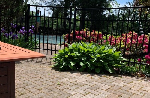 Chestertown Apartment | Historic Chestertown Studio Apartment with Private Pool