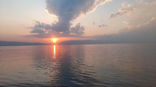 Pestani Apartment | Oceanfront First Line Apartment - Guest Rated 9.8/10