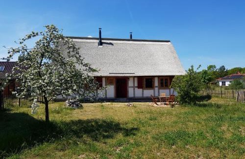 Altwarp Apartment | Fischerhus Lütt Hauke: Pet-Friendly Oceanfront Retreat