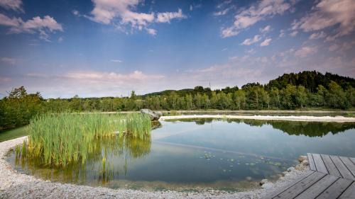 Sankt Kanzian am Klopeiner See Resort | Fishery Steffan: Pet-Friendly Hotel with Pool & Breakfast