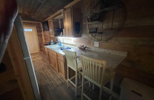 Millersview Cabin | Pet-Friendly Fishing Cabin on O.H. Ivie - Guest Rated 10/10