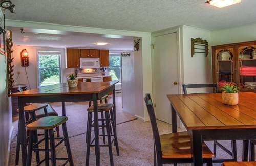 Frenchville Cottage | Pet-Friendly Creekside Sinnamahoning Home for Adventure