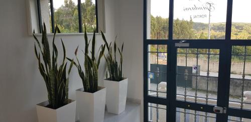 Sardinero Apartment | Cozy Fisterra - Sardiñeiro: Oceanfront & Pet-Friendly Retreat
