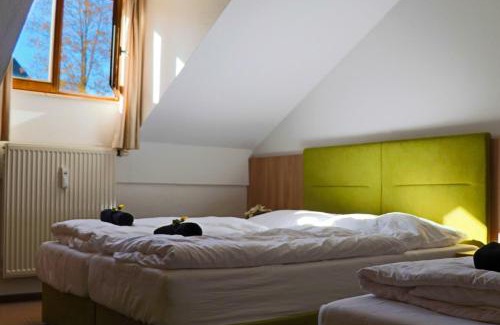 Philippsreut Apartment | Family-Friendly FitApartman with Pool and Spa Amenities