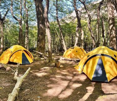 El Chalten Other | Discover Fitz Camp - Nestled at the Base of Fitz Roy