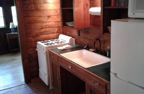 Hot Springs Cabin | Exceptional FIVE POINTS Lake Hamilton Cabin with Full Kitchen