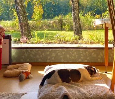 Niedergoersdorf House | Flämingpanorama: Cozy Garden House with Ocean View