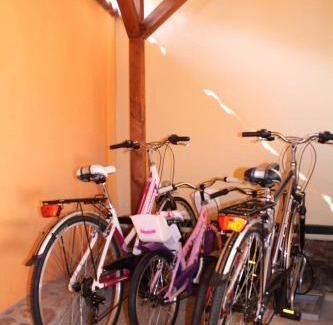 Werder Apartment | Flämingskirsche: Oceanfront Retreat with Top Guest Rating