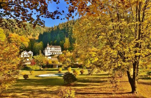 Meuselbach-Schwarzmuhle Hotel | Pet-Friendly Flair-Hotel Waldfrieden with Spa & Hot Tub