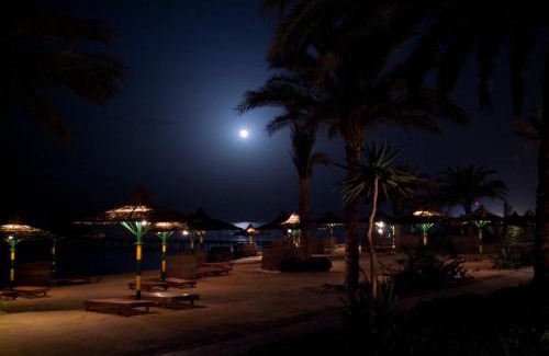 El Quseir Resort | Discover Flamenco Beach & Resort Quseir: Oceanfront Retreat