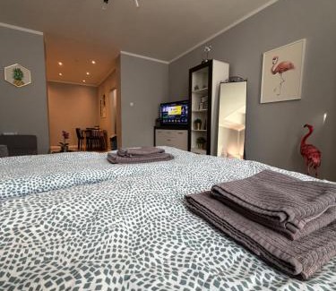 Opole Apartment | Stylish Flaming Apartment with Balcony in City Center