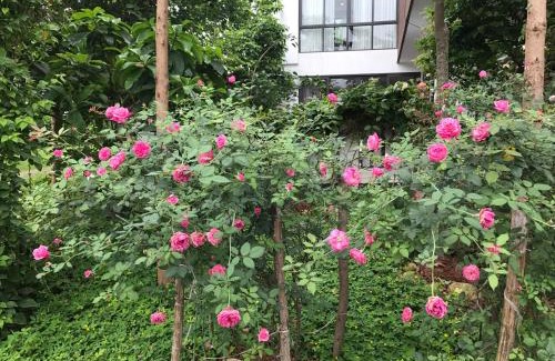 Ngoc Quang Villa | Relax at Flamingo Dailai - HQ Villa with Private Pool