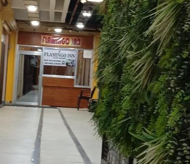 Gorakhpur House | Discover Flamingo Inn: Child-Friendly Retreat in Gorakhpur